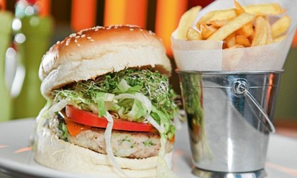 2014_10_nolus_gallery