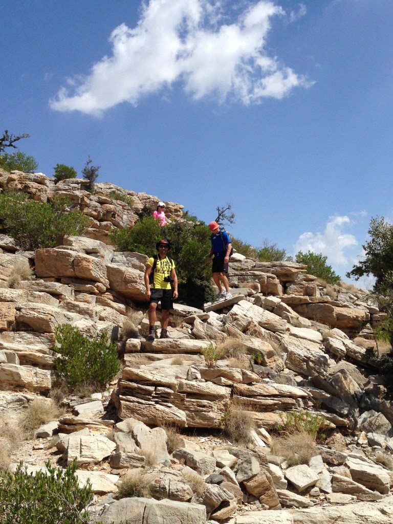 Photo 04-10-2014 13 29 44