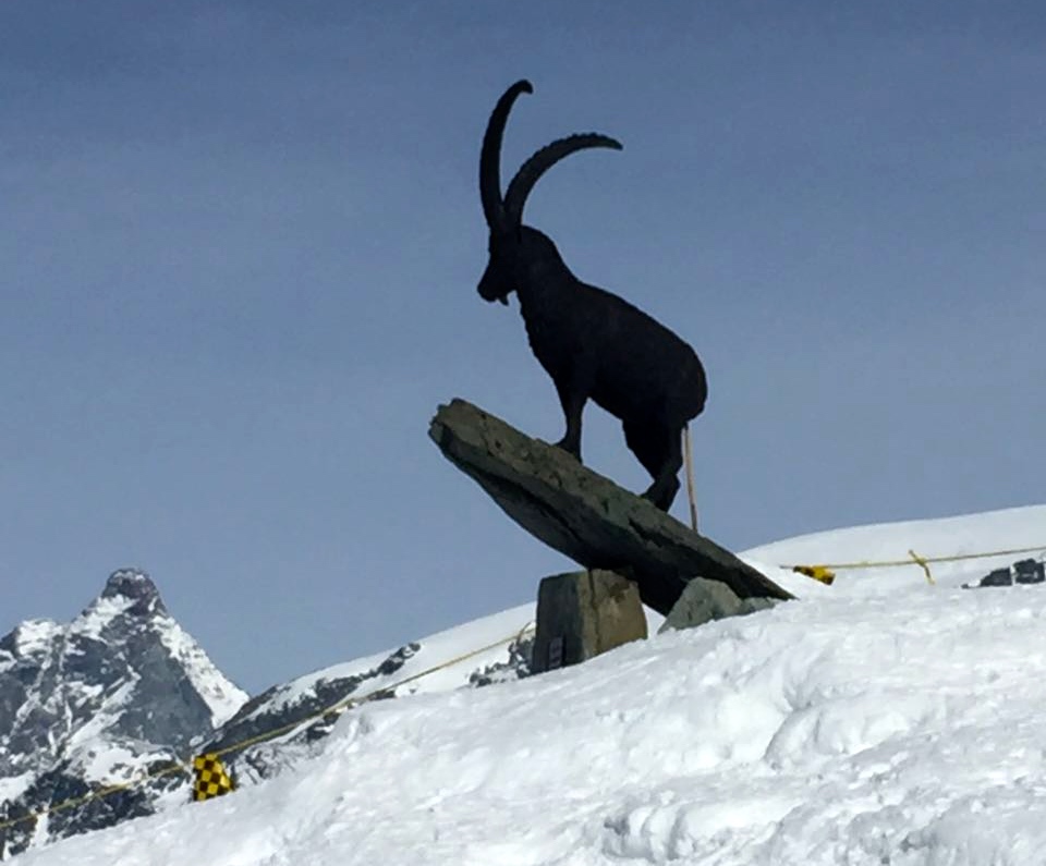 24512677f3944e1a2858e0e070aa0d95