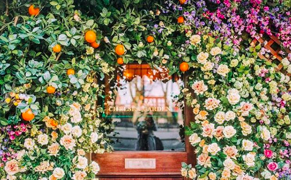 Screen Shot 2018-08-14 at 11.44.18