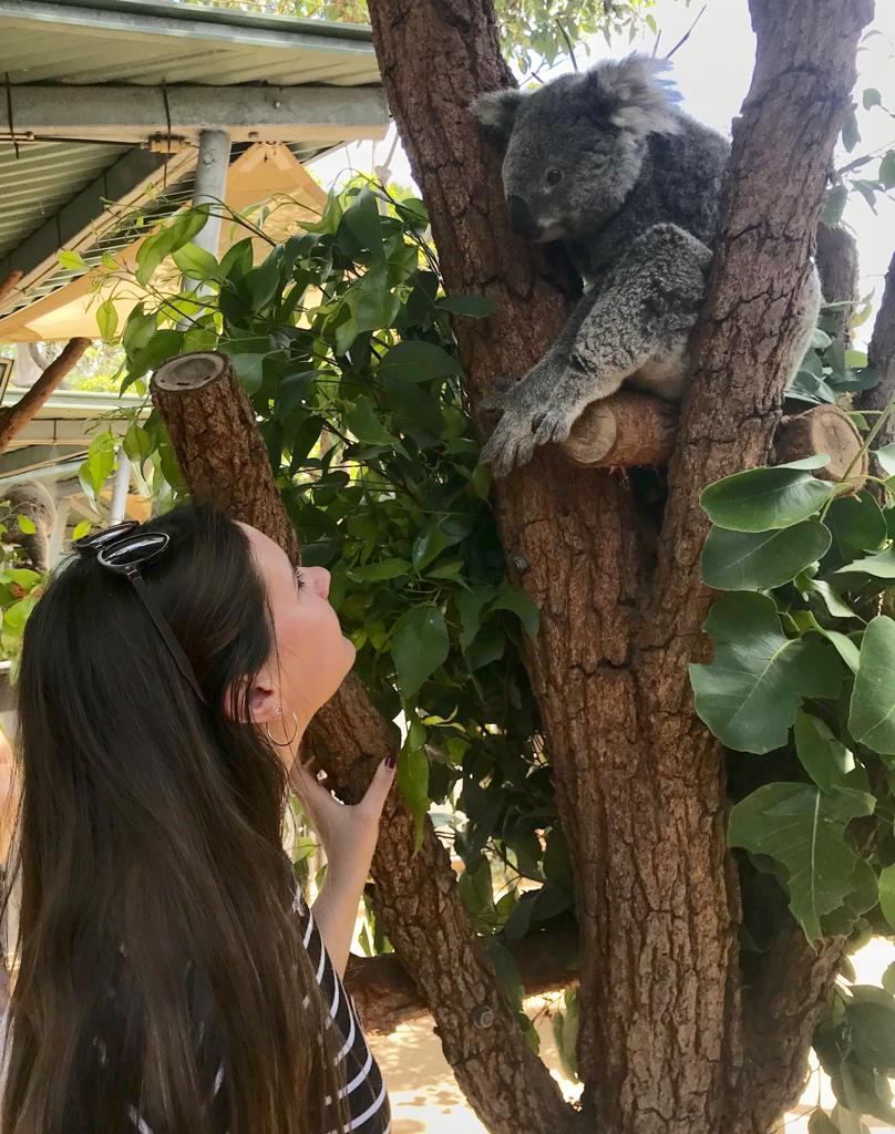 bc68f90f-4722-4517-88f5-49a0c17e744d