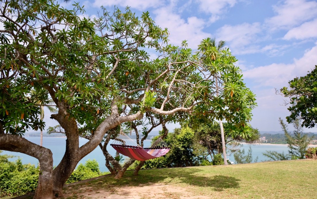 B0A935C2-E0A4-4F4E-9101-14CA3EFF4555-13726-00000B12F3B6F3A7