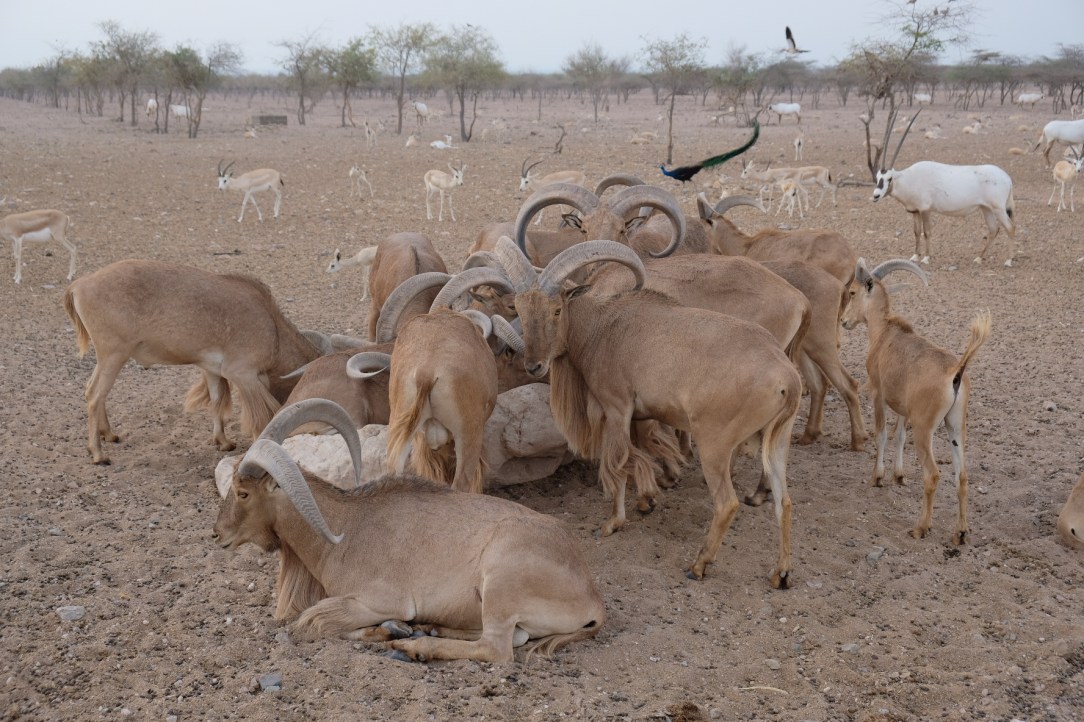 23DEC723-1F53-4654-AE82-133EB79A699C-19401-00000F421B175724