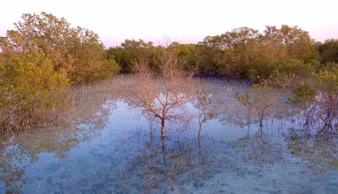 DC8DDA4B-C915-4A87-8155-1186B5845644-24958-00000F86B19FFAD9