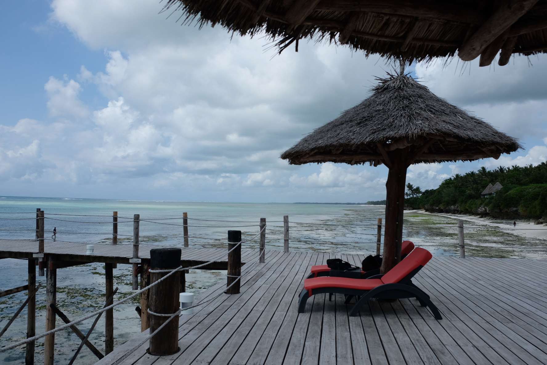 BF3D1CFE-CCF8-41B3-8FEE-7076F35CFDAA-7662-000005E56C9F99CF