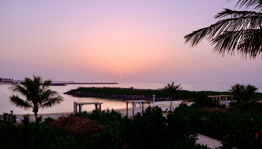 F5779277-0D5A-4EA3-B279-EDBC8B7672C6-2479-00000119B11DC797